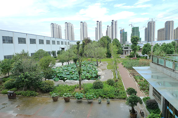 腾龙集团·(中国区)有限公司官网