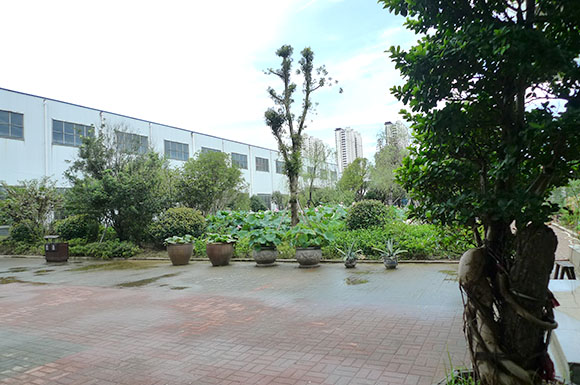 腾龙集团·(中国区)有限公司官网