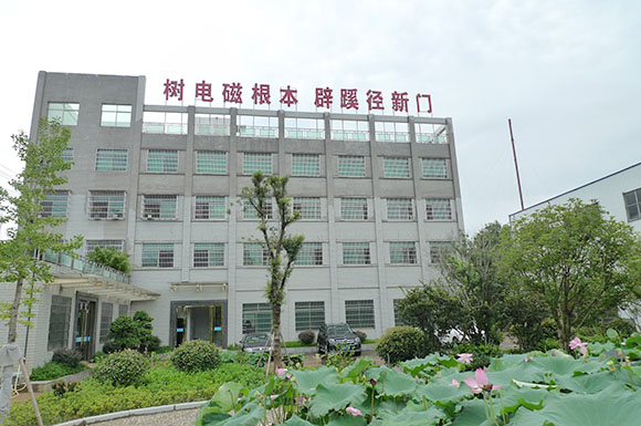 腾龙集团·(中国区)有限公司官网