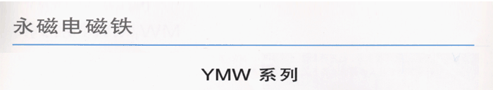 腾龙集团·(中国区)有限公司官网